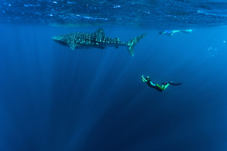 Australia Ningaloo Jason Edwards GettyImages 452418171 RFC