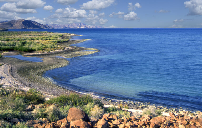 Bahia Concepcion