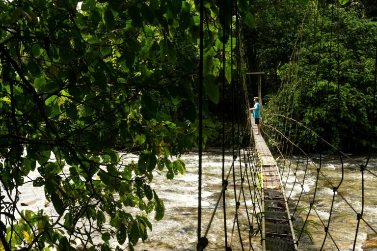 Malaysia Mulu NP © stockstudioX GettyImages 1154095552