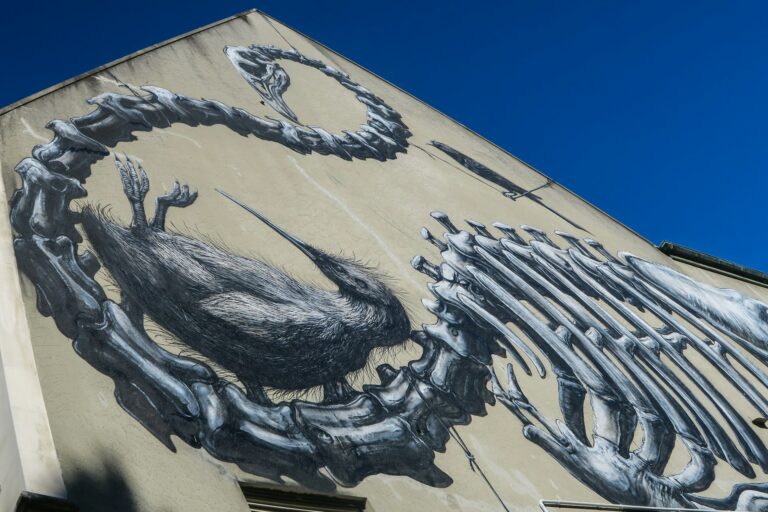 Roa street art