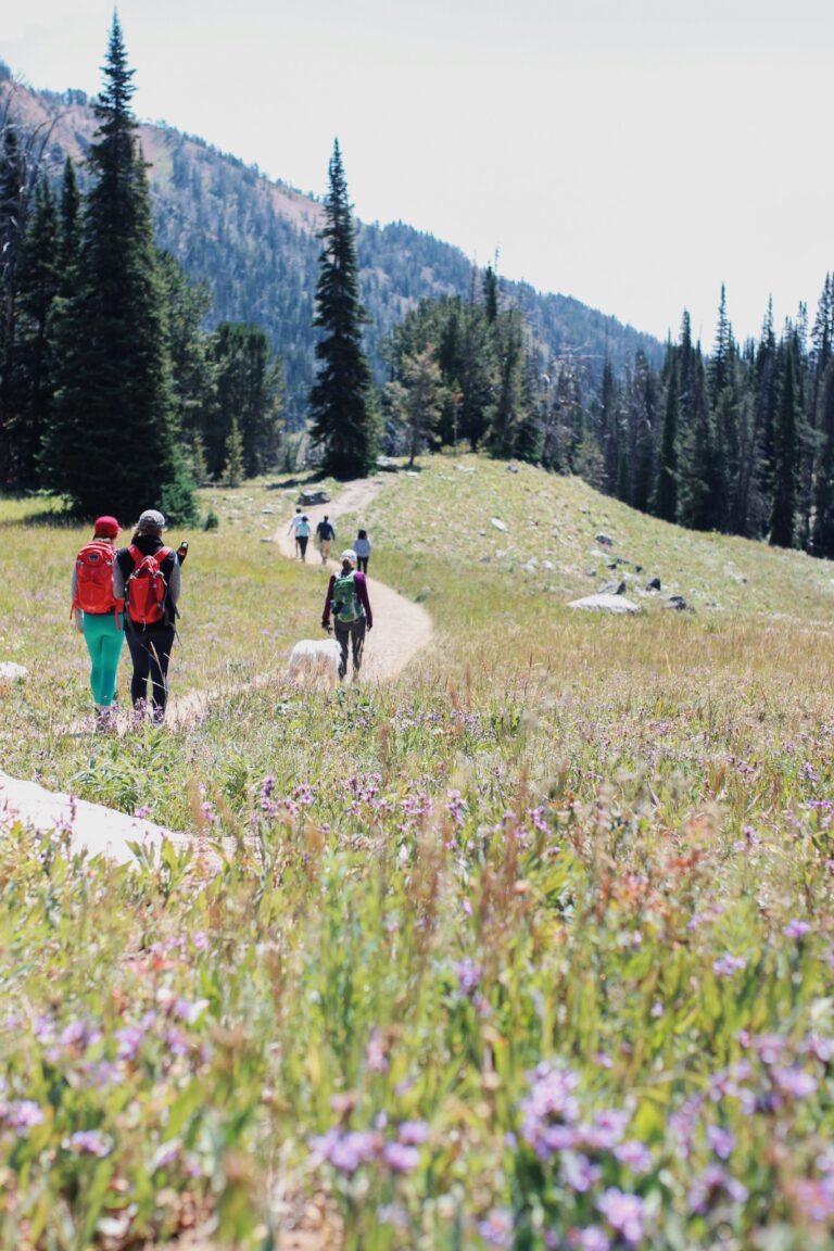 Ann Douglas Lott Big Sky Montana Beehive Basic trail