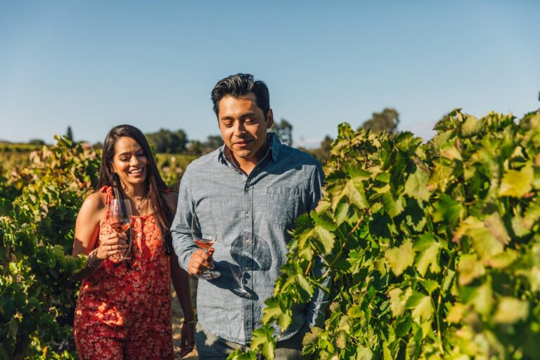 Couple in Vineyard By Jayme Burrows Stocksy txp95a12c14B4D300 Medium 2792427