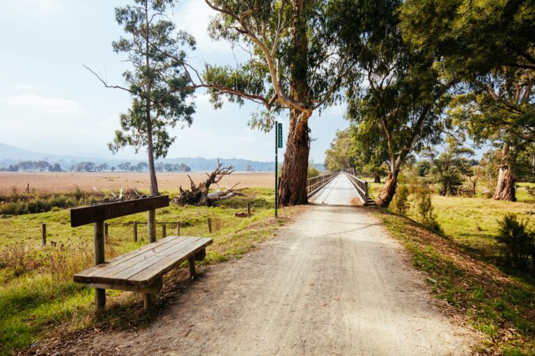 Warburton Rail Trail Australia