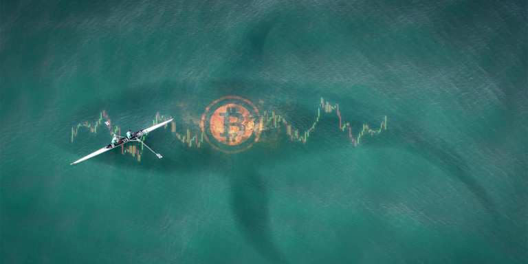 bitcoin whales surface gID 7.jpg@png