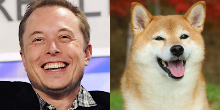 elon musk dogecoin gID 7.jpeg@png