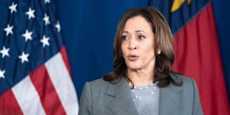 kamala harris vp 2024 candidate flag gID 7.jpg@png