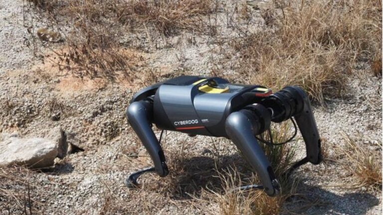 1 ai powered dog robot sniffs out invasive fire ants