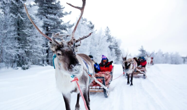 Finland Lapland IrisvandenBroek shutterstock 1350873470 RFE