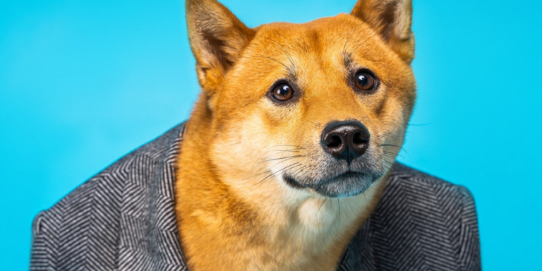 doge dogecoin shiba ina wearing suit jacket gID 7.jpg@png