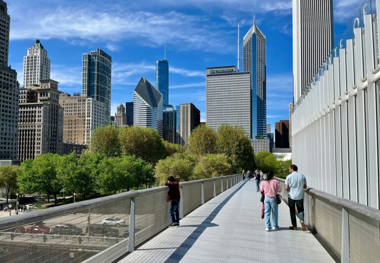 USA Chicago Millennium Park Pamela Brick shutterstock2459011873 crop