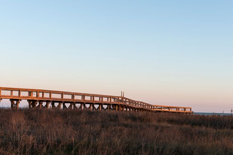 Sea Rim State Park