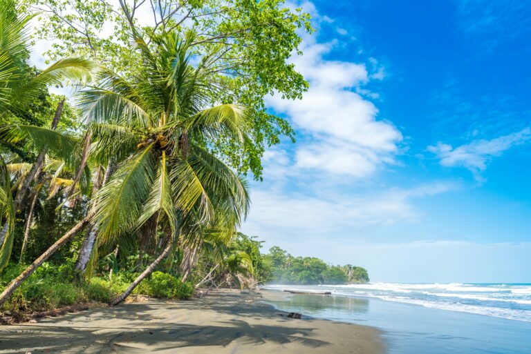 shutterstockRF645083716