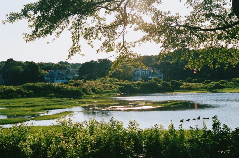 Marthas Vineyard houses on a cove