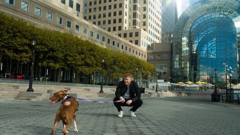 1 ai technology helps reunite lost dogs with their owners