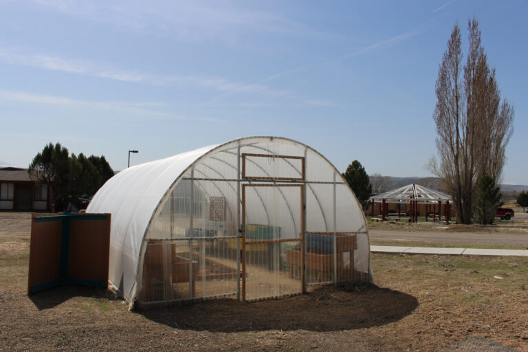 HoopHouse 01 resized